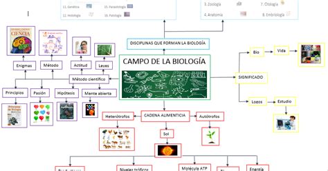 Tareas De BiolÓgica Tarea 1 Mapa Mental De Campo De La BiologÍa