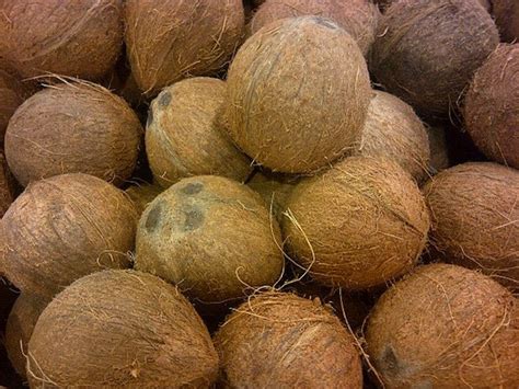 10 Health Benefits Of Wonder Fruit Coconut