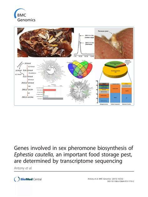 Pdf Genes Involved In Sex Pheromone Biosynthesis Of Ephestia Cautella An Important Food