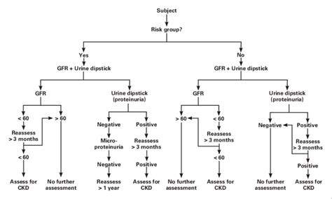 Flowchart For Diagnosis Of Chronic Kidney Disease Download