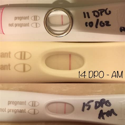11 14 And 15 Dpo Mini Progression Positive Digital On 12 Dpo And Waiting