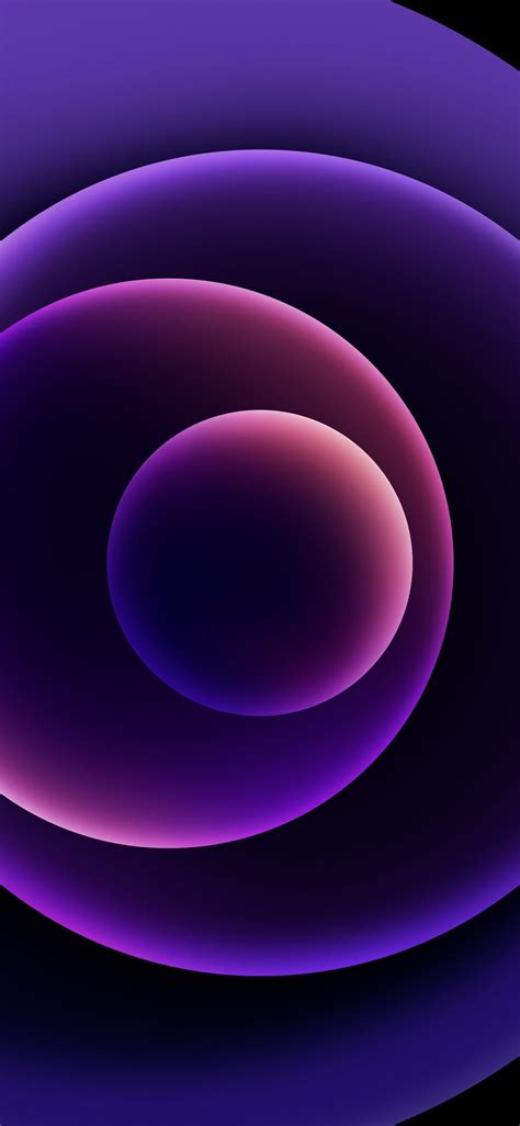 Download The New Purple Iphone 12 Wallpaper For Your Devices Right Here