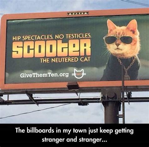 Neuter and spay, it's the humane way! The Best Funny Pictures Of Today's Internet