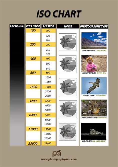 Iso Chart Image Noise Chart And How To Use It Photographyaxis