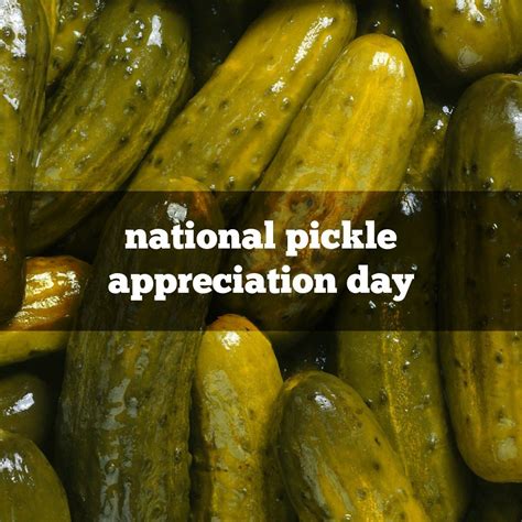 November 14th Is National Pickle Appreciation Day Obscure Holidays