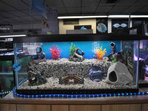 Maybe you would like to learn more about one of these? Cool-Fish-Tanks-To-Buy.jpg (800×600) | Fish tank ...