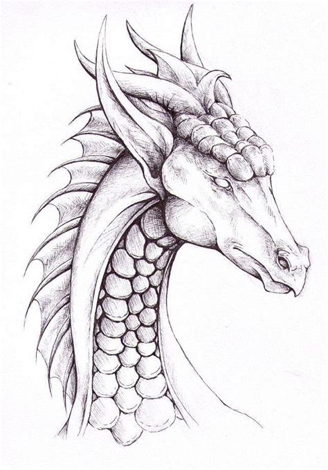 Drachen 17 Ausmalbilder Como Dibujar Dragones Dragon Sketch Dragon