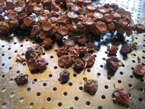 How To Make Raisins From Fresh Grapes Frugally Sustainable