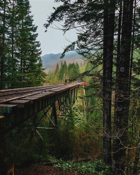 Vance Creek Bridge Wa Vance Creek Bridge Natural Landmarks Instagram