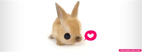 Bunny Loves You Facebook Cover