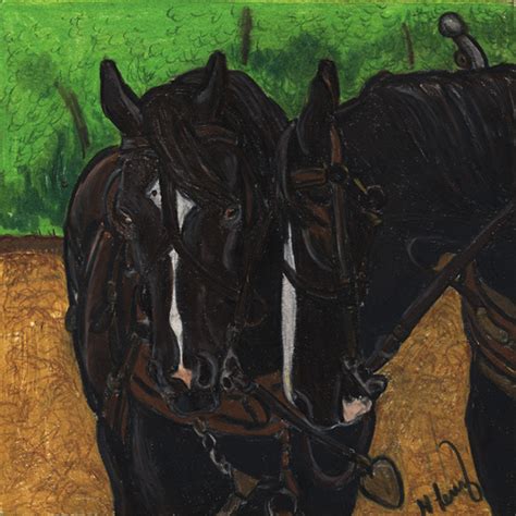Holly Lenz Fine Art And Design Draft Horse Paintings