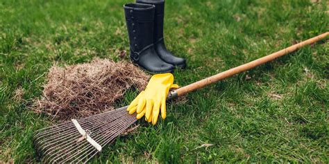 The most efficient way to get it done is to rent an aerator or power rake from your local hardware store. How to Dethatch a Lawn with a Rake