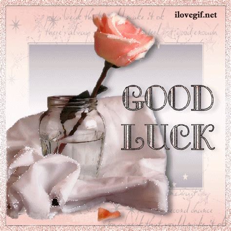Pin By Samysud On Rose Orange Good Luck Pictures Luck Good Luck