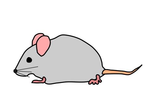 Mouse Clipart Png Clip Art Library