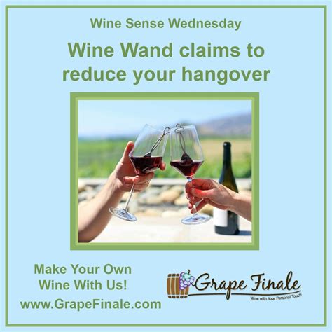 Wine Wand Claims To Reduce Your Hangover Make Your Own Wine Wine