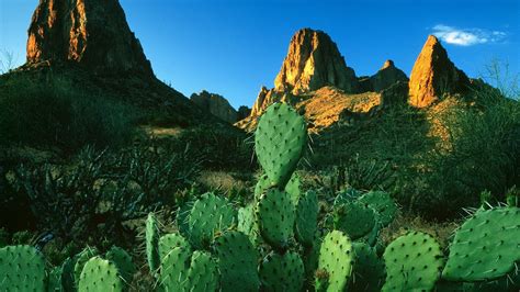 Mountains Landscapes Rocks Cactus Wallpapers Hd Desktop And Mobile