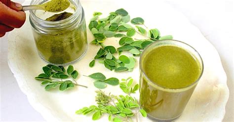 Moringa Juice For Weight Loss And Reduce Belly Fat Moringa Juice ~ Full Scoops A Food Blog