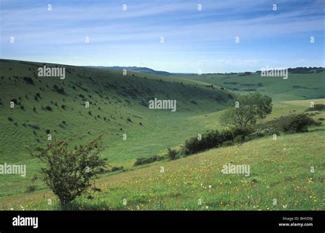 Chalk Grassland Hi Res Stock Photography And Images Alamy