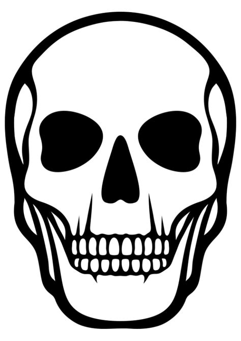 Printable Skull Anatomy Coloring Pages Skull Anatomy Drawing At