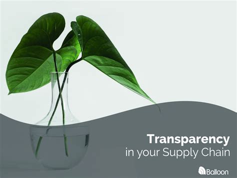 The Importance Of A Transparent Supply Chain Balloon One