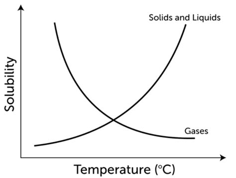 Solubility and Concentration | CK-12 Foundation