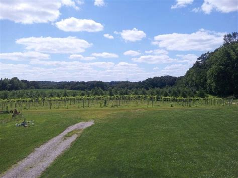 Fruit Hills Winery And Orchard Near Bristol Indiana The View And The
