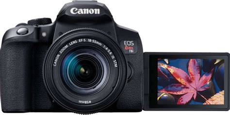 Best Lenses For Canon Eos Rebel T8i Canon Camera News