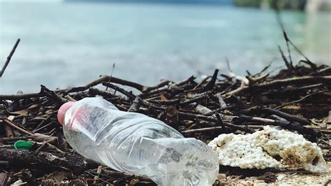 Probleme Im Kampf Gegen Plastikmüll Im Meer Wmn