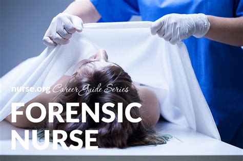 Forensic Nursing Is A Key Component To The Healthcare And Legal Systems