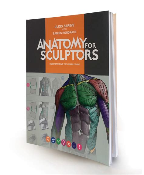 Anatomy For Sculptors Book Download Flippednormals Bodegawasuon