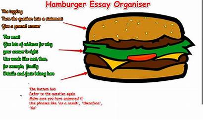 Essay Writing Hamburger Graphic Organizer Essays Opinion