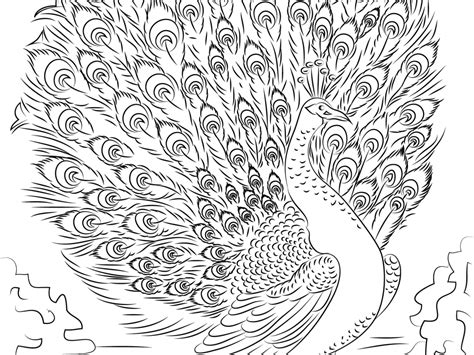 Advanced Coloring Pages Printable At GetColorings Com Free Printable