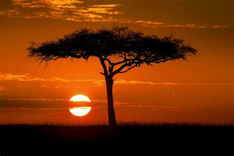 Kenya Travel Africa Lonely Planet