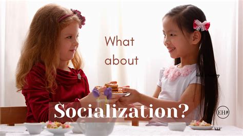 What About Socialization Everyday Homemaking