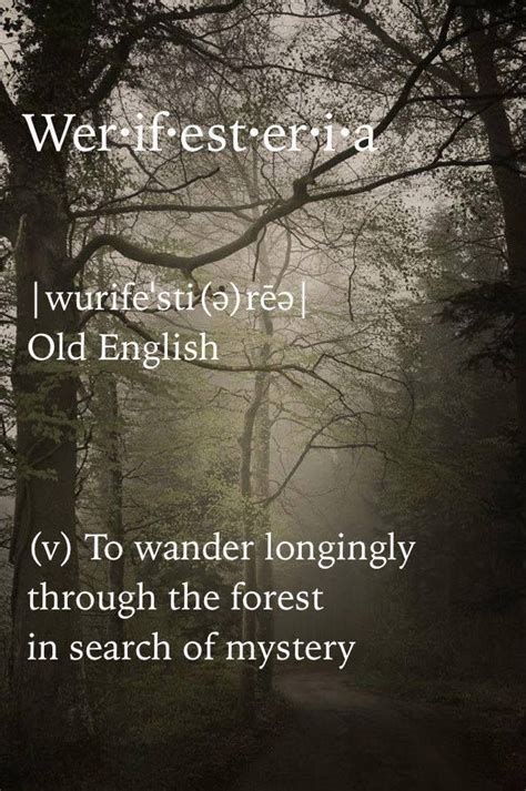 Werifesteria Verb Meaning To Wander Longingly Through The Forest In