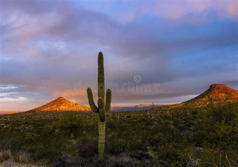 Arizona Sunrise With Cactus And Butte Stock Photo Image Of Range