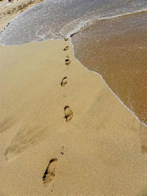 Footprints In The Sand Photograph By Elizabeth Hoskinson Pixels