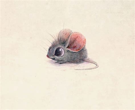 Incredibly Cute Animal Illustrations By Sydney Hanson Will