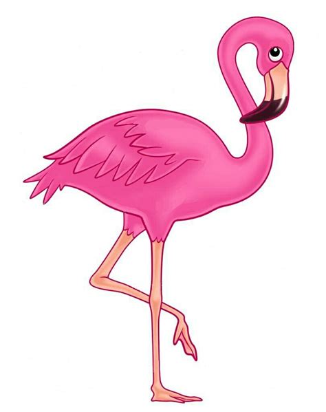 Flamingo Png Flamingo Theme Pink Flamingos Flamingo Graphic