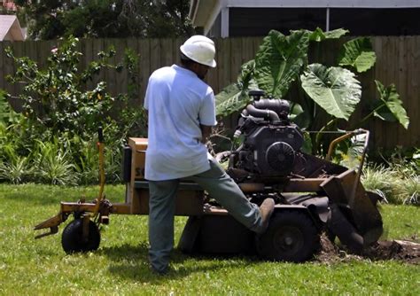 Stump Grinding Brisbane North Stump Removal B And R Tree Services