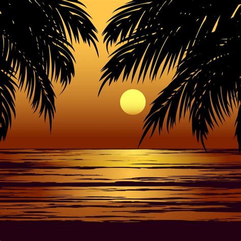 Palm Beach Sonnenuntergang Strand Hintergrund Hintergrund
