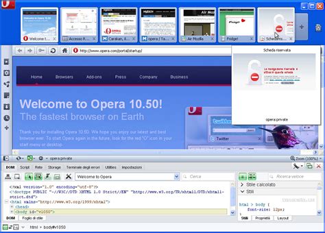 100% safe and virus free. Opera 10.50 Windows in dettaglio | Nicola D'Agostino | Flickr
