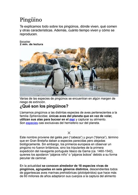 Pingüino CONCEPTO TIPOS HABITAT ESPECIE Pingüino Te explicamos todo