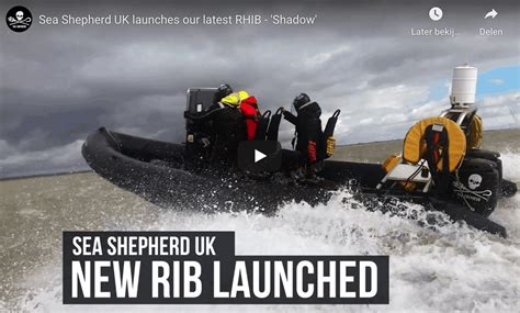Sea Shepherd Uk Launches Its Latest Humber Rigid Inflatable Boat Shadow