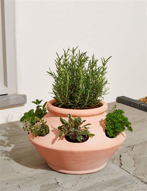 This Stylish Terracotta Herb Planter Is A Must Have For Your Garden