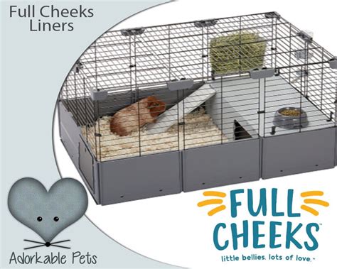 Full Cheeks Small Pet Customizable Home Etsy