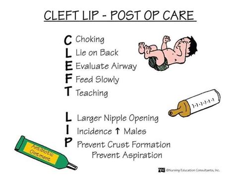 Cleft Lip Nursing Mnemonics Pediatric Nursing