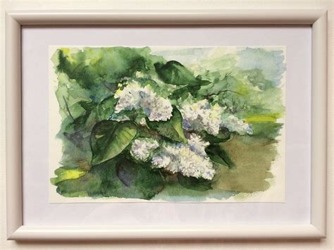Original Watercolor Painting Of White Lilacs Bush Lilac Painting