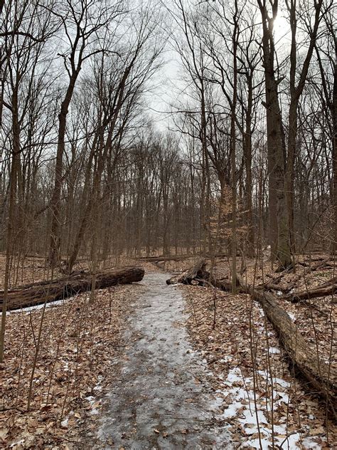 Rotary Park (Livonia) - All You Need to Know BEFORE You Go