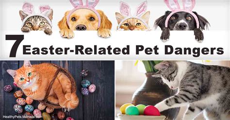 7 Surprising Easter Home Hazards For Your Pet
